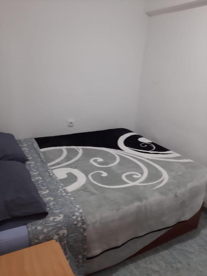 Habitacion Grande En Piso Compartido Con 2 Adultos Y 1 Perrito Валенсія Екстер'єр фото